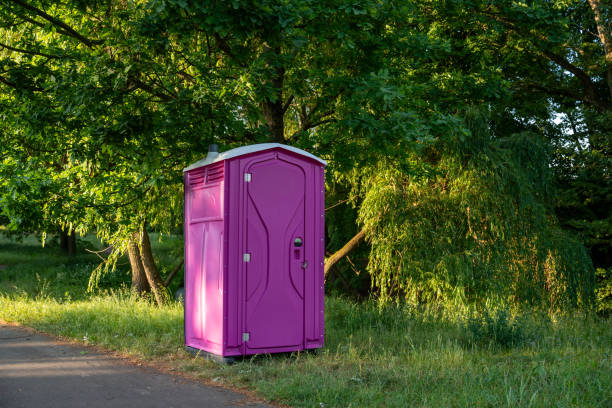Best Porta potty rental for festivals  in Weyers Cave, VA